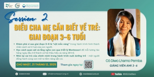 TFM ĐỒNG HÀNH CÙNG HỘI THẢO MONTESSORI CHỦ ĐỀ 2: ĐIỀU CHA MẸ CẦN BIẾT VỀ GIAI ĐOẠN 3–6 TUỔI