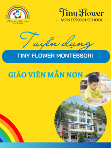 Hệ thống  Giáo dục Tiny Flower Montessori  tuyển dụng
