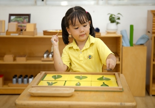 Chương Trình Giáo dục Montessori từ 3-6 tuổi (Ngôi Nhà Trẻ Thơ)